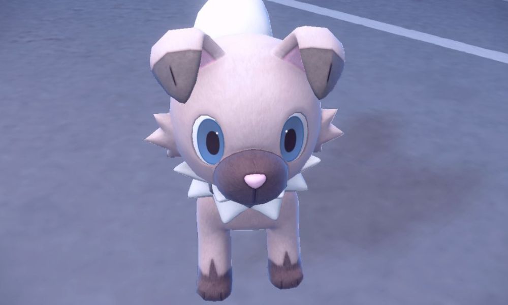 Where To Find And Catch Rockruff in Pokemon Scarlet & Violet