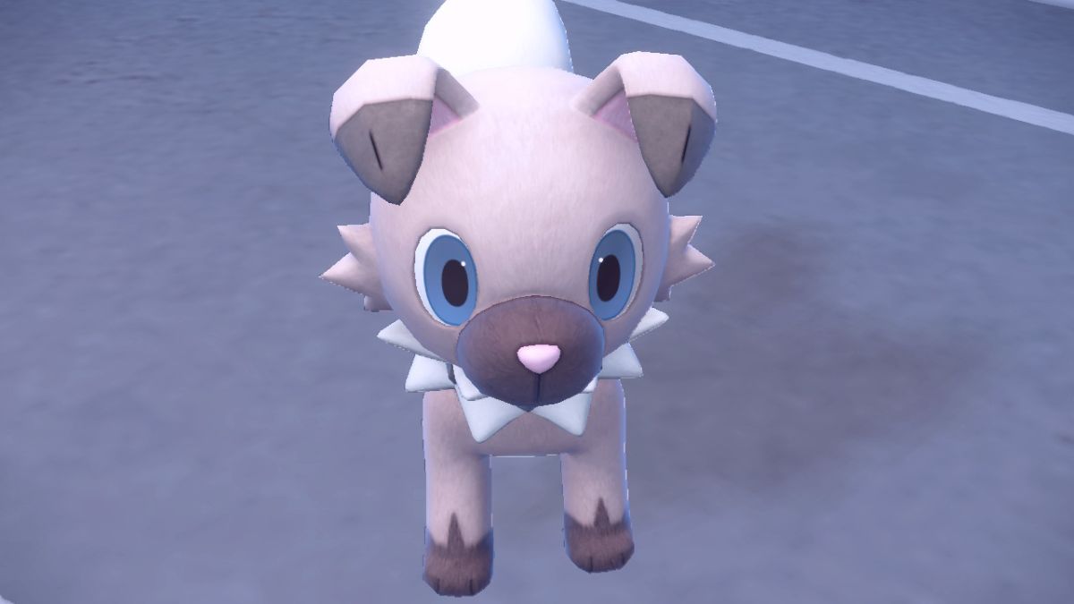Where To Find And Catch Rockruff in Pokemon Scarlet & Violet Twinfinite