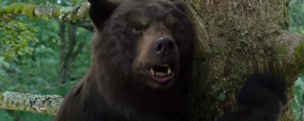 Universal to Release a Movie About a Bear on Cocaine That Was Inspired by True Events
