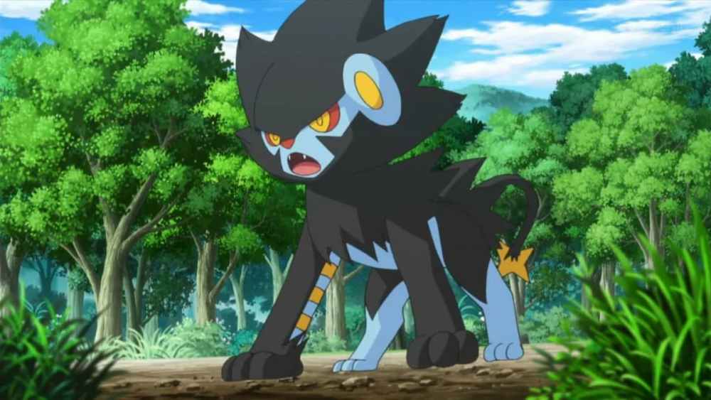 A Luxray in the wild Scarlet and Violet