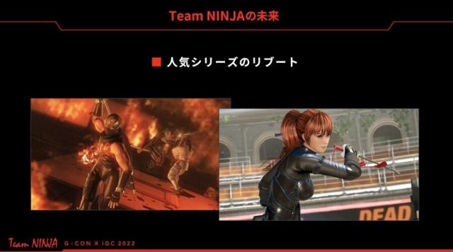 Team Ninja gaiden Dead or Alive