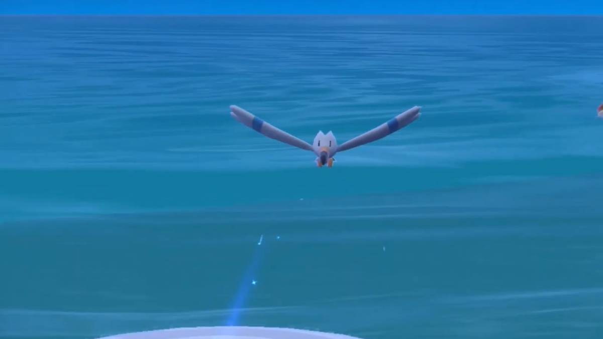 How to Catch Wingull in Pokemon Scarlet & Violet - Twinfinite