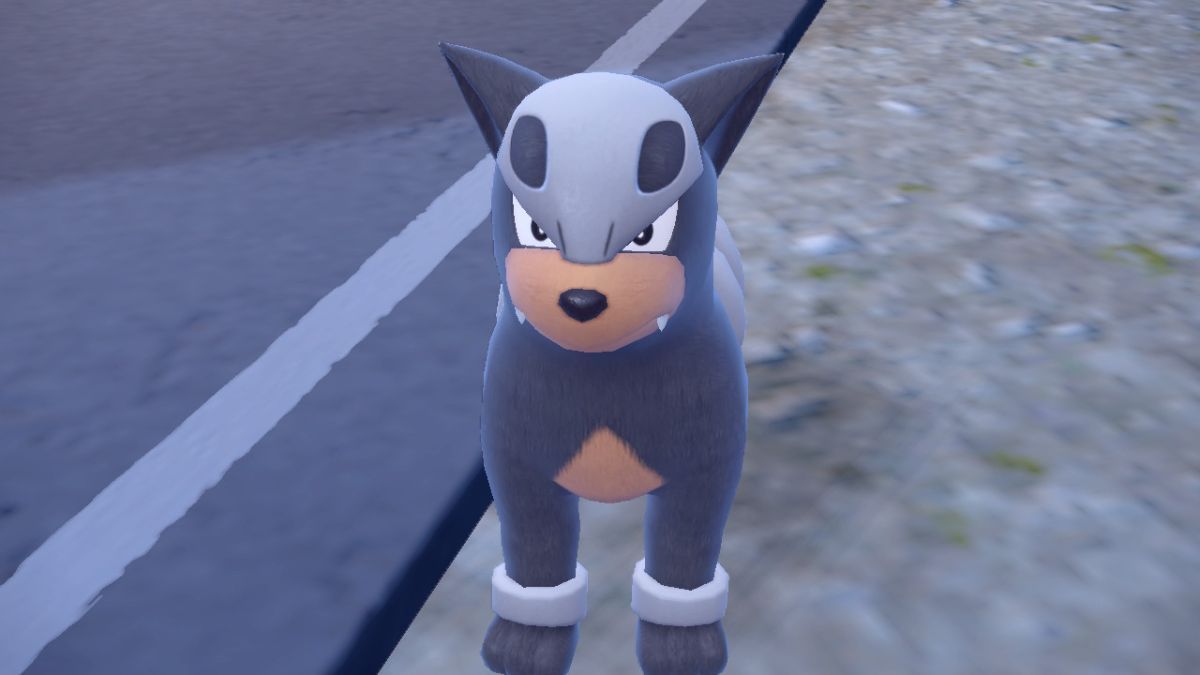 Hounder Where to Find and Catch Houndour in Pokemon Scarlet & Violet - Twinfinite