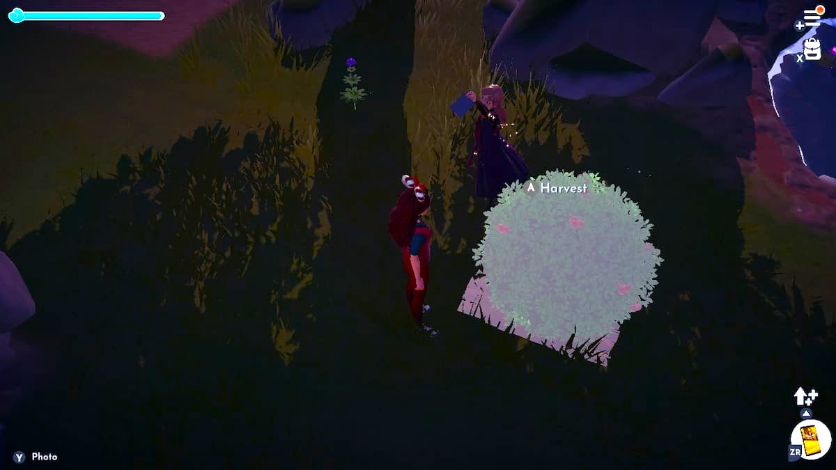 How to Get Coffee Beans in Disney Dreamlight Valley Twinfinite