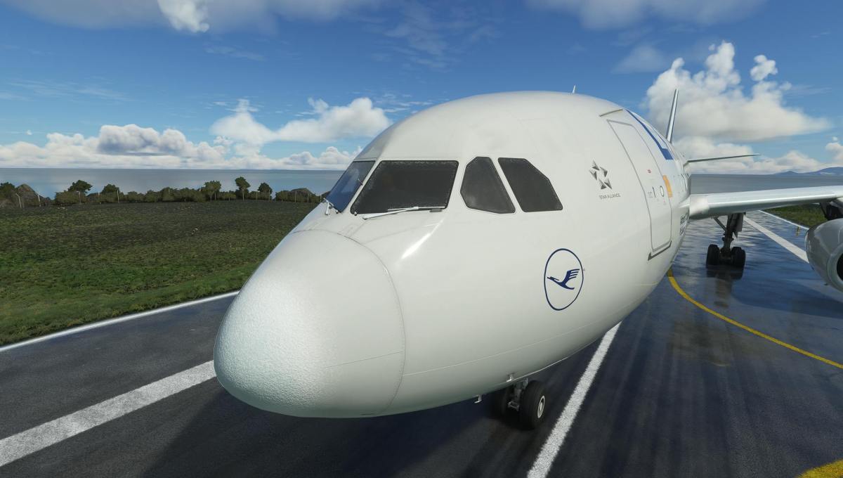 Microsoft Flight Simulator Airbus A330, Newark Airport, & FS Traffic AI