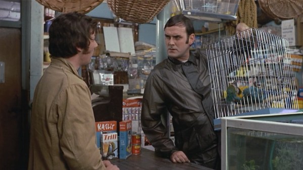 Top 5 Best Monty Python Movies Ranked, From Hollywood Bowls to Knights ...