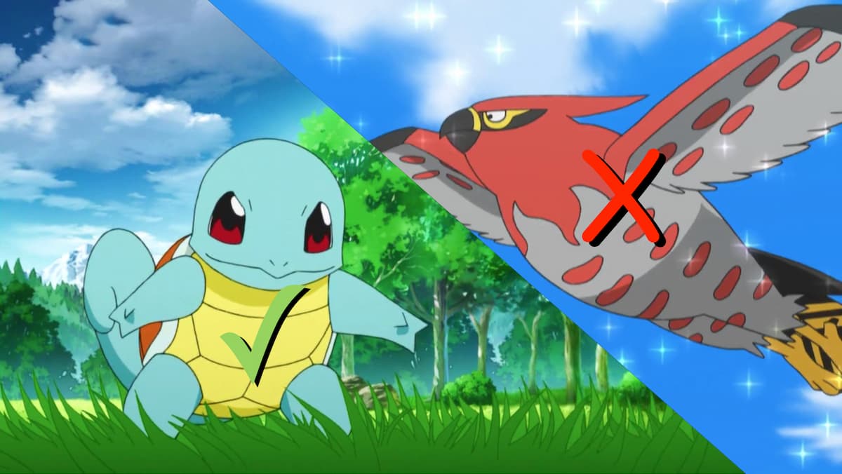 Pokemon Squirtle and Talonflame