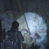 Mycology: What Is it & What Does it Have to Do With The Last of Us?