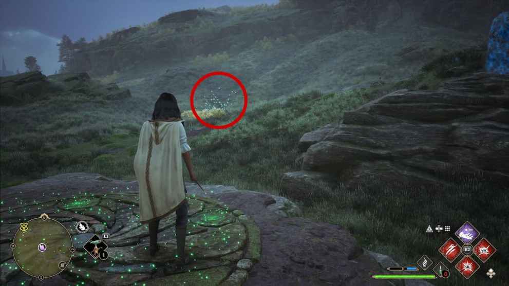 Glowing Butterflies Location