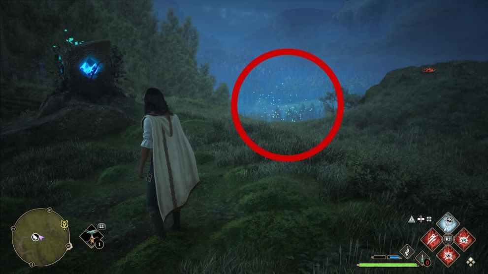 Final Step in Merlin Trial