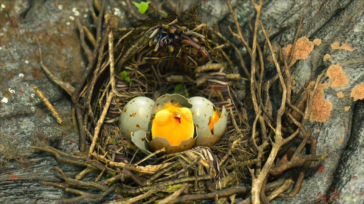 Snidget Harry Potter 675x1200 Hogwarts Legacy A Bird in the Hand Quest Guide