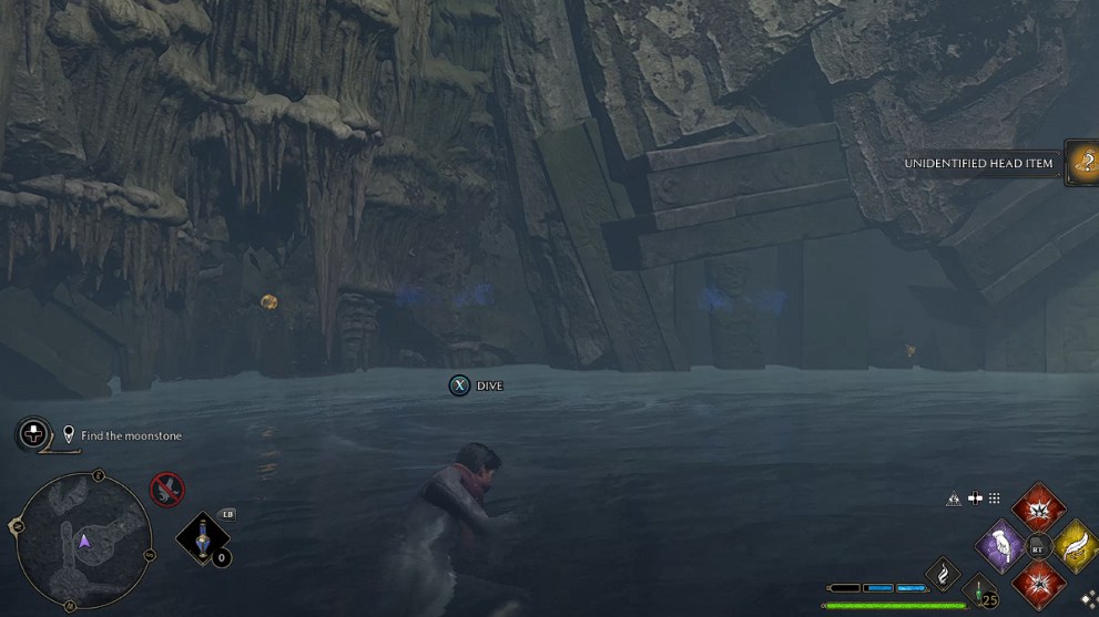 Hogwarts Legacy Moonstone Garden Diving Spot.