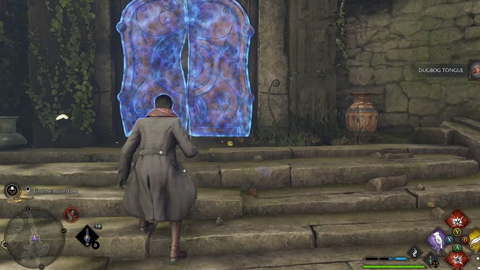 Hogwarts Legacy Moonstone Garden second door.