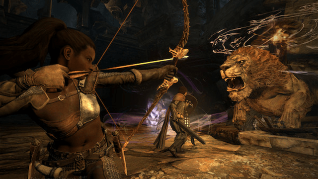 Party combat in Dragons Dogma