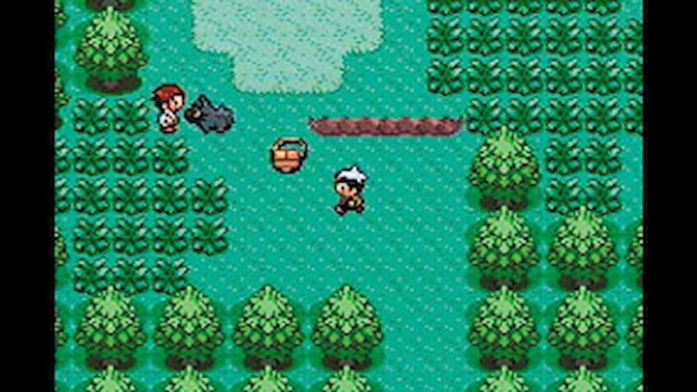 One of the best things about Pokemon Ruby and Sapphire is saving Professor Birch and the story.