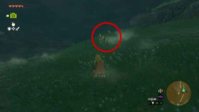 Stalhorse locations in Zelda: Tears of the Kingdom