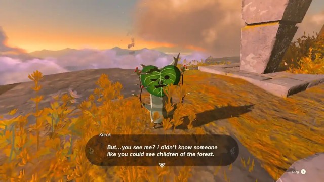 What to Do in TOTK Postgame: Collect All Korok Seeds