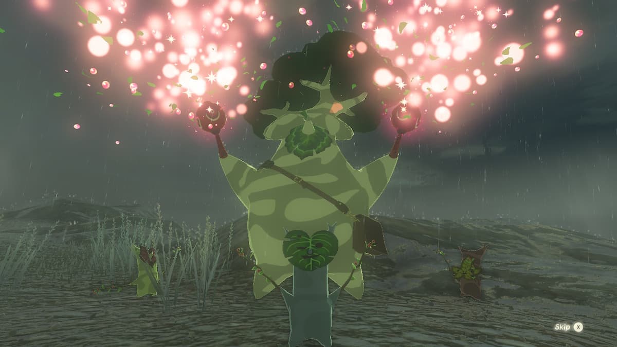 Where to go to turn in Korok seeds