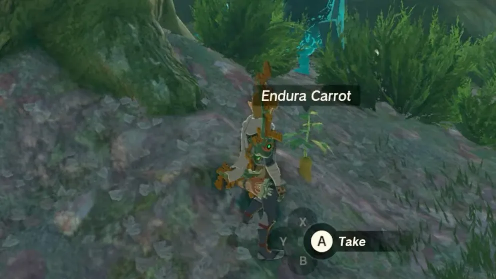 Link farming Endura Carrot in Zelda: Tears of the Kingdom