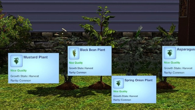 Spring Harvest And CookBook Mod