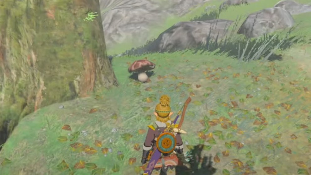 Link looking at a Razorshroom in Tears of the Kingdom