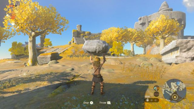 Link carrying rock in The Legend of Zelda: Tears of the Kingdom