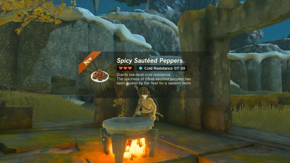 Cooking food in Zelda: Tears of the Kingdom