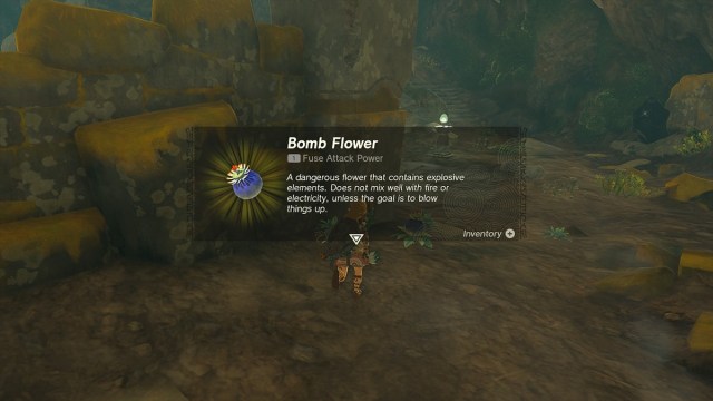 Bomb Flower Information