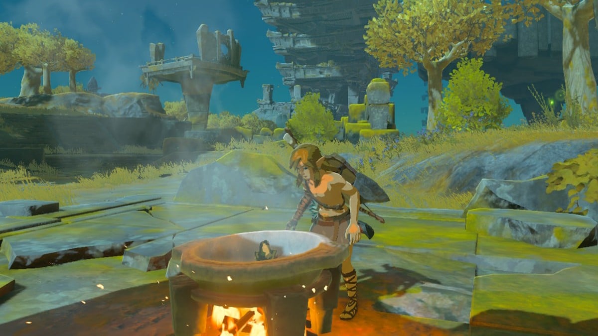 Link cooking in Tears of the Kingdom