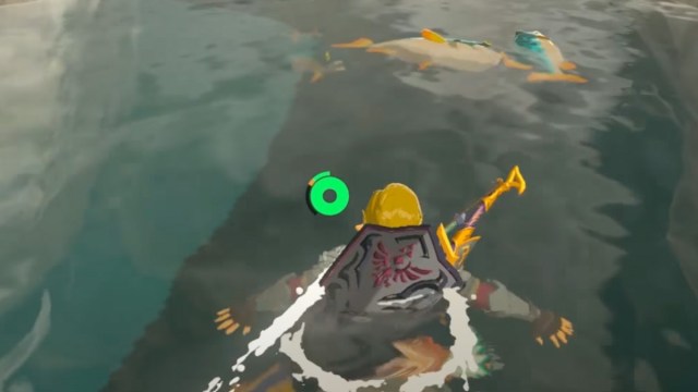 Link swimming towards Hearty Bass in Zelda: BOTW