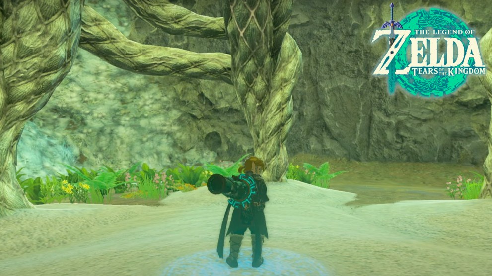 Link stood before a Lightroot in Zelda TOTK