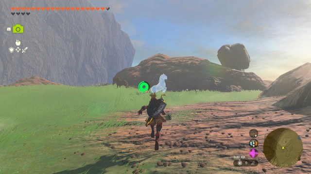 Zelda TOTK Link captures the Royal White Stallion.