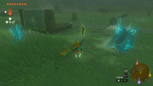 Link tries to capture Spot in Zelda TOTK.