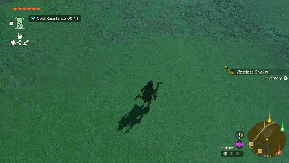 How to Get to Hyrule Castle Early in Zelda Tears of the Kingdom