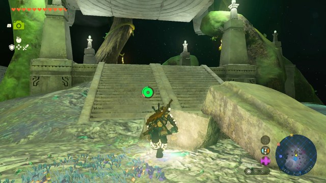 Rikonasum Lightroot in Zelda TOTK.