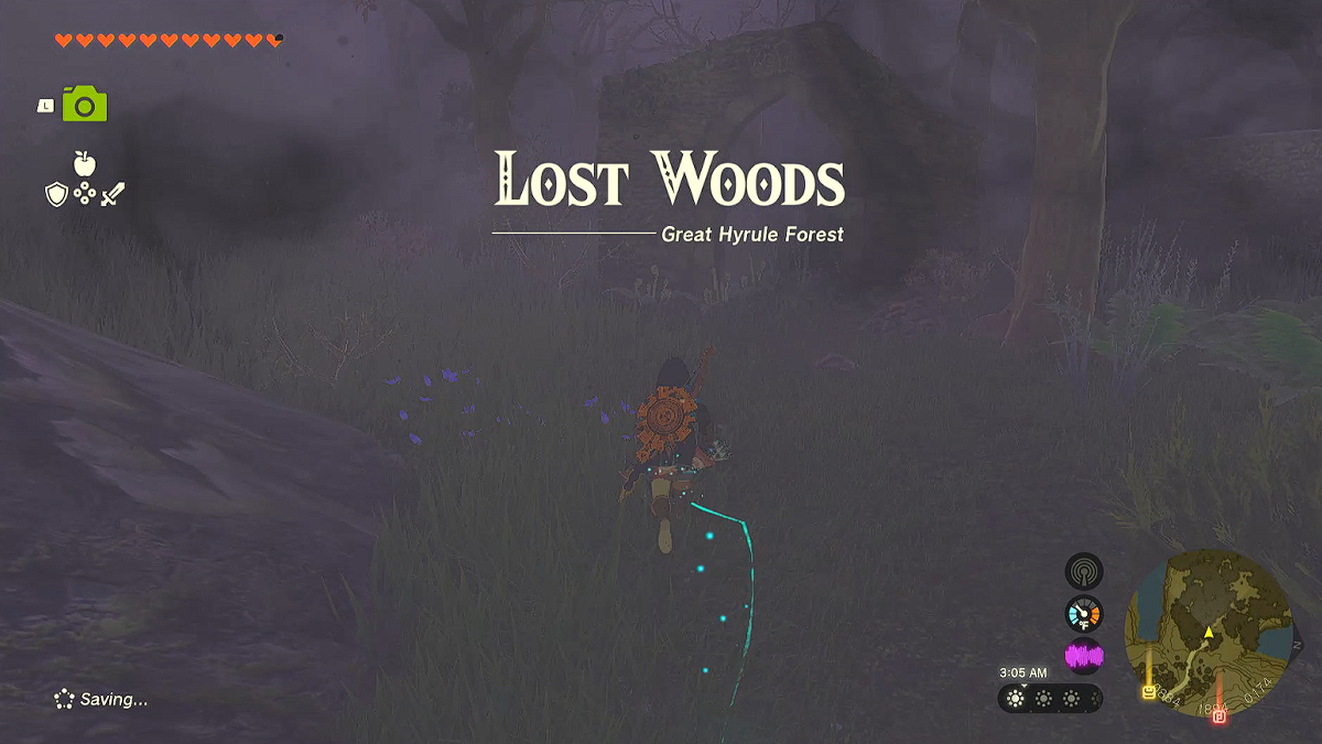 How to Get Through Lost Woods in Zelda: Tears of the Kingdom