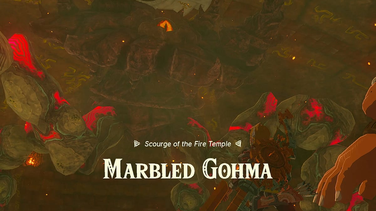 How to Beat Marbled Gohma in Zelda: Tears of the Kingdom