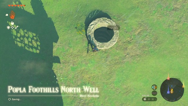 Zelda TOTK Popla Foothills North Well.