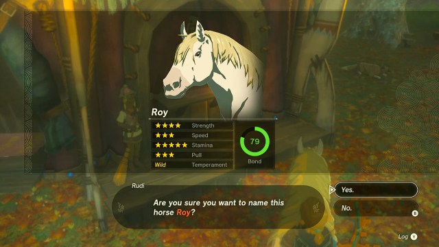 Zelda TOTK Royal White Stallion Stats.