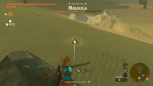 Link fights a Molduga in Zelda TOTK.