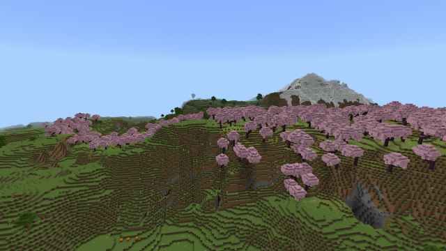 A Trail of Cherry Trees Seed for Minecraft 1.20