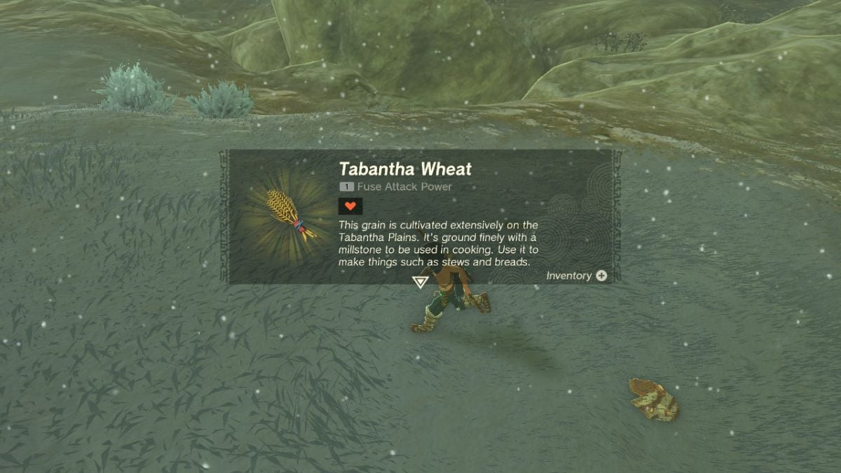 Tabintha Wheat in Zelda: Tears of the Kingdom