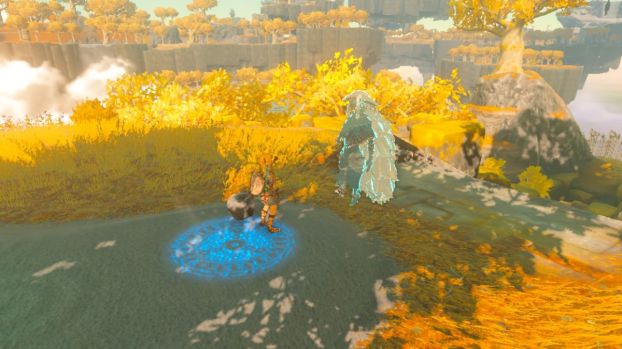 Link Rauru Arm Rauru in Tears of the Kingdom, Explained
