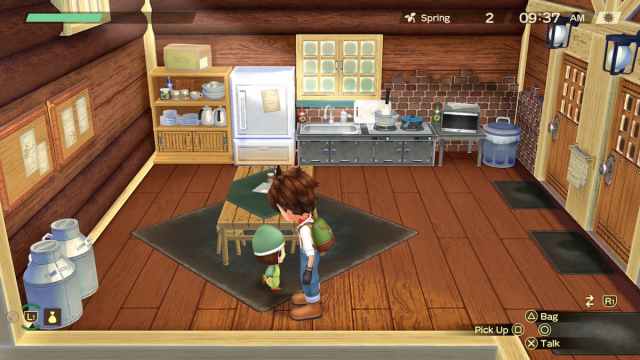 Can you have children in Story of Seasons: A Wonderful Life?