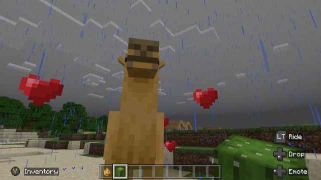 How to feed a camel in Minecraft