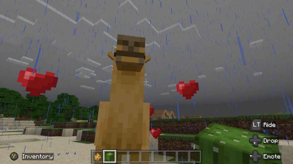 How to feed a camel in Minecraft