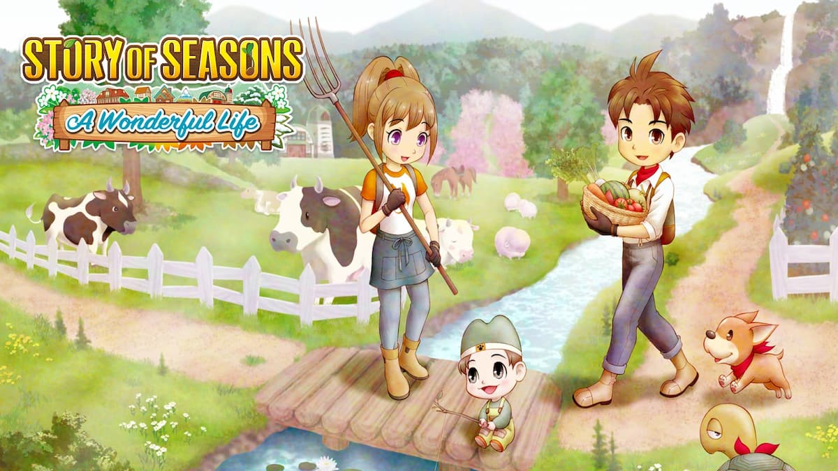 How to Marry and Romance in Story of Seasons A Wonderful Life
