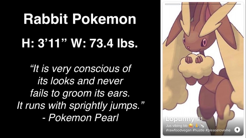 Lopunny Tinder profile