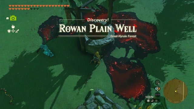 Rowan Plain Well in Zelda TOTK.