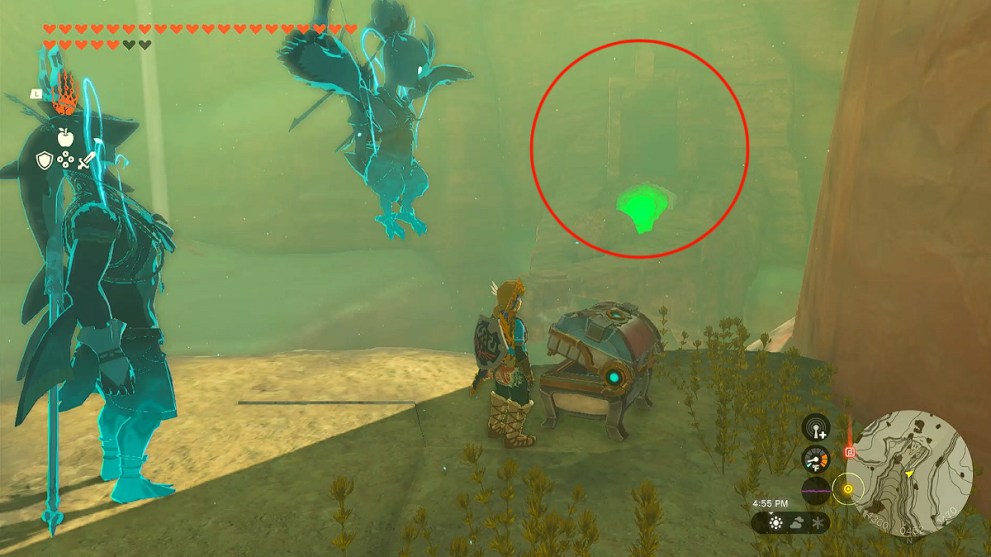 The Statue of the Eight Heroine Cave in Zelda TOTK.